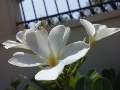 20150512_103239.jpg