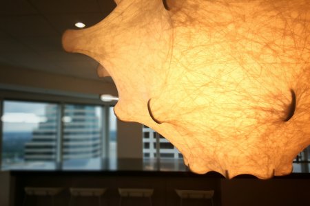 Light photo contest.jpg