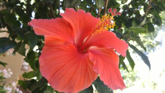 20150607_144738.jpg