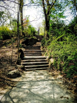 central park.jpg