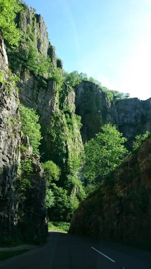 DSC_0385.jpg