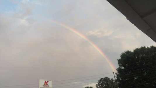 IMAG0161.jpg
