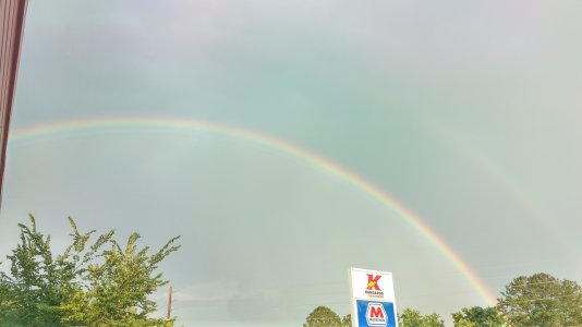 IMAG0155.jpg