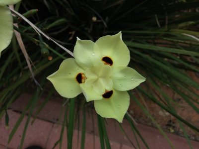 20150422_134223.jpg