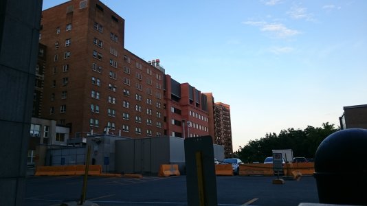 DSC_0644.jpg