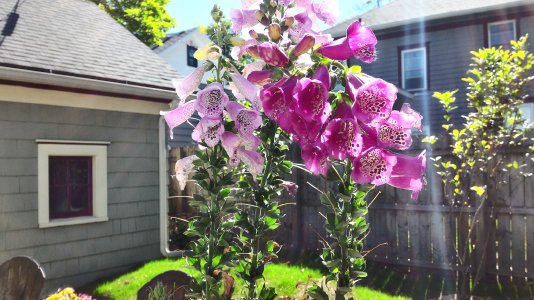 P_20150523_161904_HDR.jpg