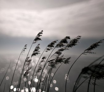 Wind-wallpaper-10452718.jpg