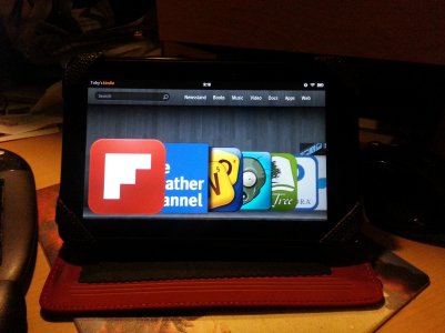 Toby's Kindle.jpg
