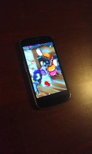 IMAG0074.jpg