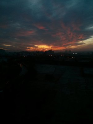 IMG_20121212_080340.jpg