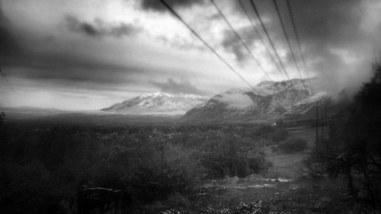 IMAG0343_0.jpg
