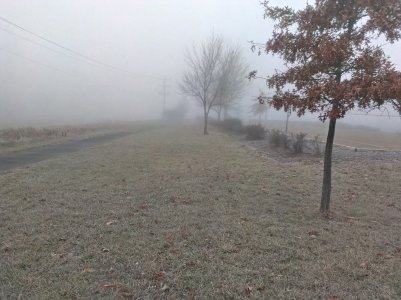 IMAG0081.jpg