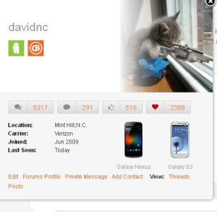 new profile.JPG
