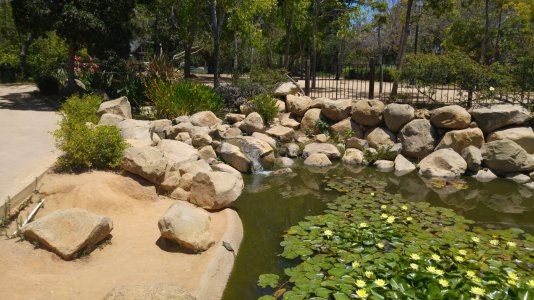 20150620_124845.jpg