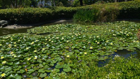 20150620_124729.jpg