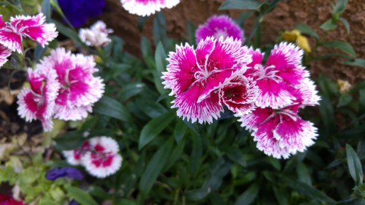20150620_110745.jpg