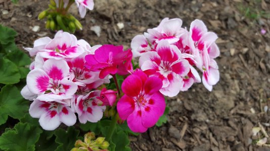 20150524_174602.jpg