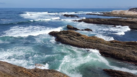 20150524_105650[1].jpg