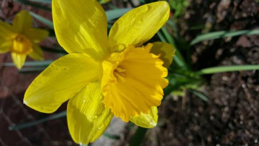 20150417_105209.jpg