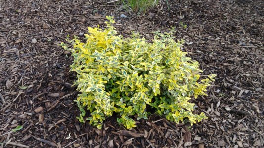 20150526_201226.jpg