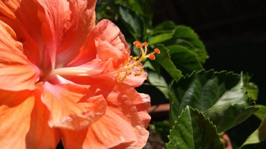 20150611_171717.jpg
