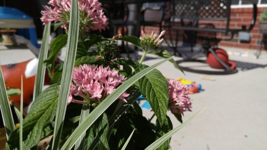 20150611_171749.jpg