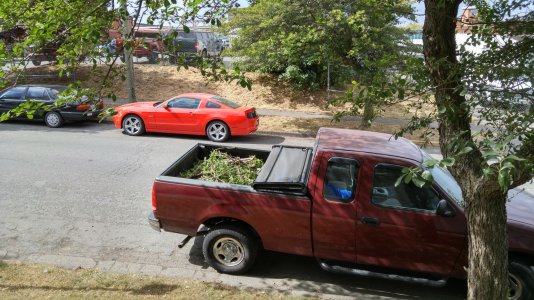 20150624_155326_HDR.jpg