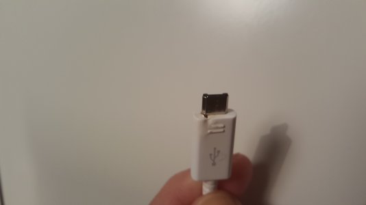 20150624_210421.jpg