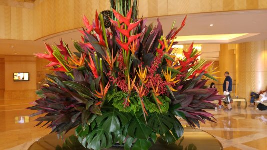 20150621_152623.jpg