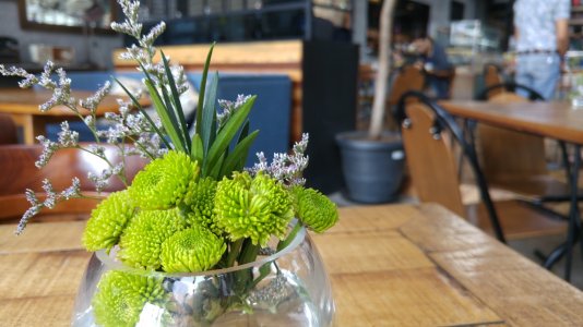 20150624_105035.jpg