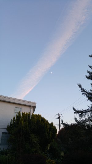moon1.jpg