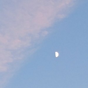 moon2.jpeg