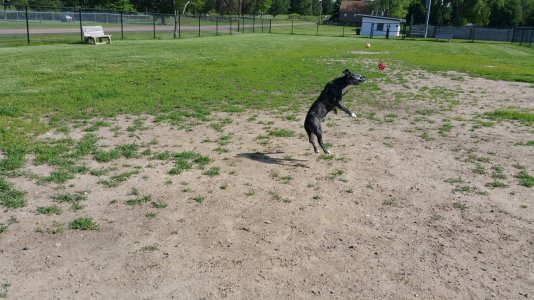 20150612_164643_010.jpg