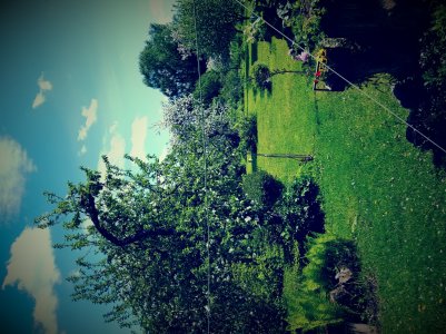 20150530_144328.jpg