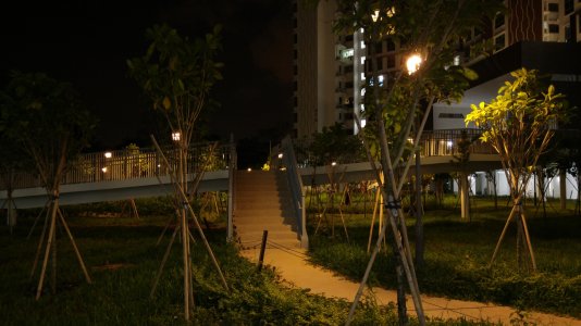 20150627_205336[1].jpg