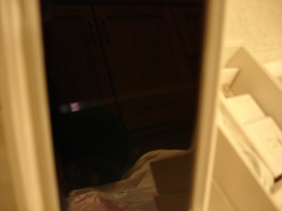 DSC00040.jpg