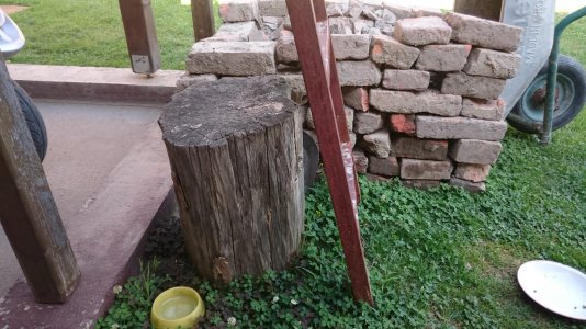 DSC_0017.jpg