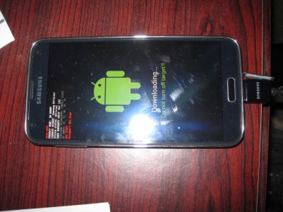 Samsung Galaxy S5 SM-G900H Download Mode snapshot.jpg
