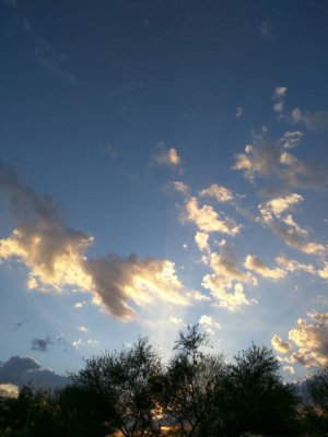1434326604274.jpg