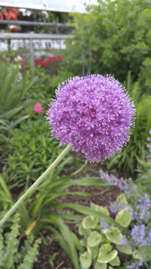 20150612_135747.jpg