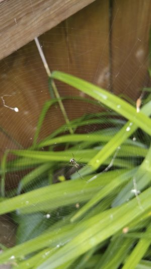 20150612_173553.jpg