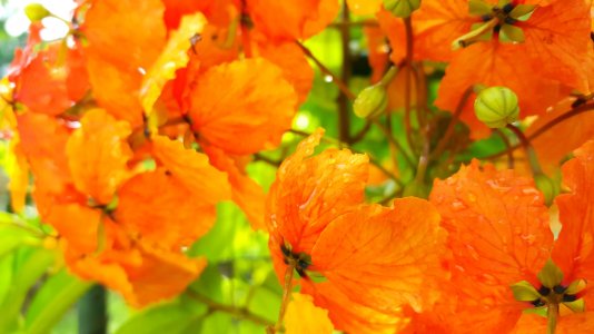 20150614_093823.jpg