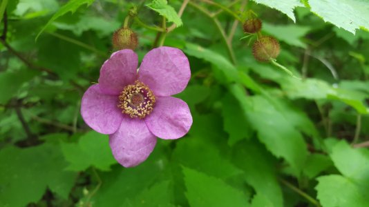 20150615_174921.jpg