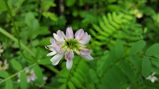 20150615_175313.jpg