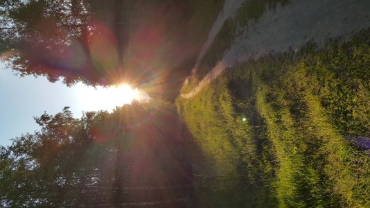 20150530_194455.jpg
