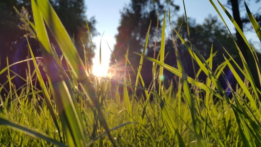 20150530_194527.jpg