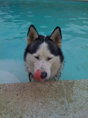 IMG_0302.jpg