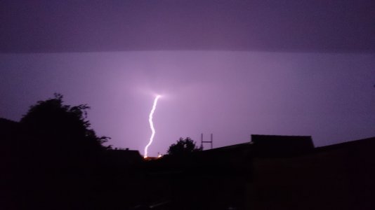 DSC_0420.jpg
