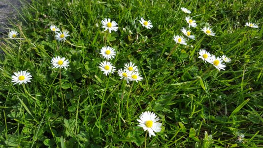 20150611_183446.jpg