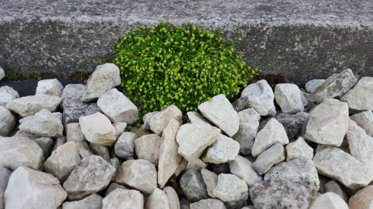 20150611_184345.jpg